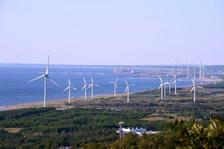 写真：海岸沿いの風力発電施設群