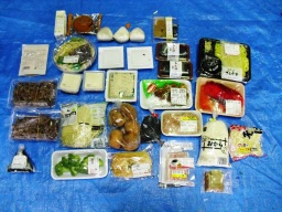 写真：廃棄された食品1