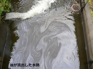 写真：油が流出した水路