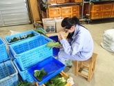 写真：新規就農研修2