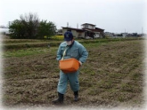 写真：露地ほ場肥料散布