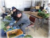 写真：ほうれんそう調製作業