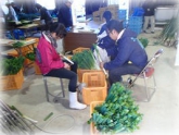 写真：ねぎ調製作業1