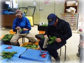 写真：ほうれんそう調製作業