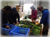 写真：アスパラ菜調製作業2