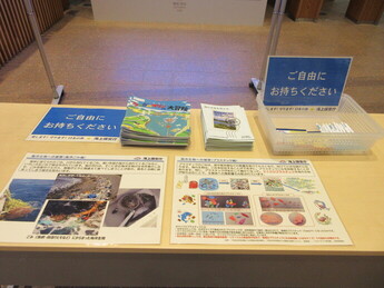 うみがめマリンの大冒険