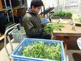 写真1・2・3月01