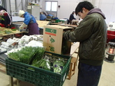 写真1・2・3月04