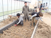 写真11月01