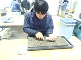 写真11月05