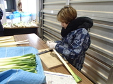 写真11月03