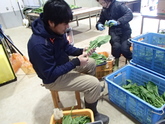 写真12月02