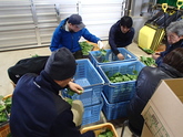 写真12月01