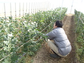 写真12月05