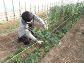写真12月04