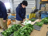 写真12月08