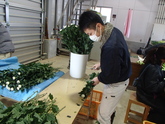 写真12月07