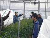 写真12月06