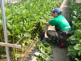 写真4月13