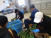 写真4月20