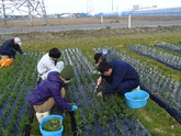 写真4月02