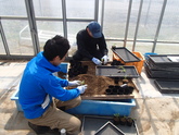 写真4月04