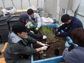 写真4月06