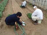 写真4月08