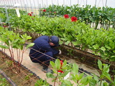 写真5月03
