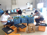 写真6月02
