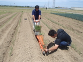 写真6月04