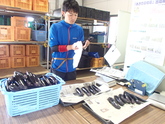 写真6月07
