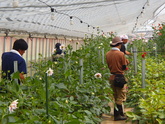 写真8月01