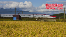 写真：田園の稲穂と新幹線こまち