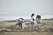 桂浜の清掃活動の様子
