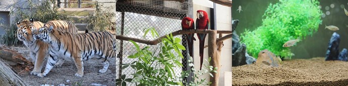 ほしい物写真