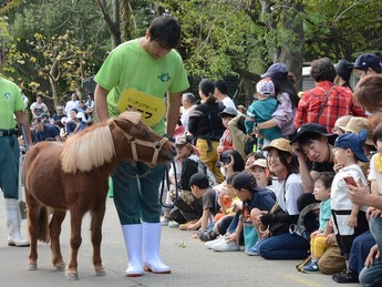 動物パレード