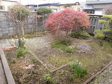 庭の写真