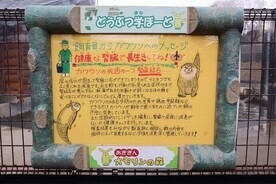 画像：どうぶつ学ぼーど2