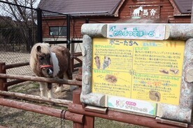 画像：どうぶつ学ぼーど1