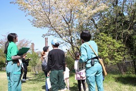 画像：大森山自然塾1