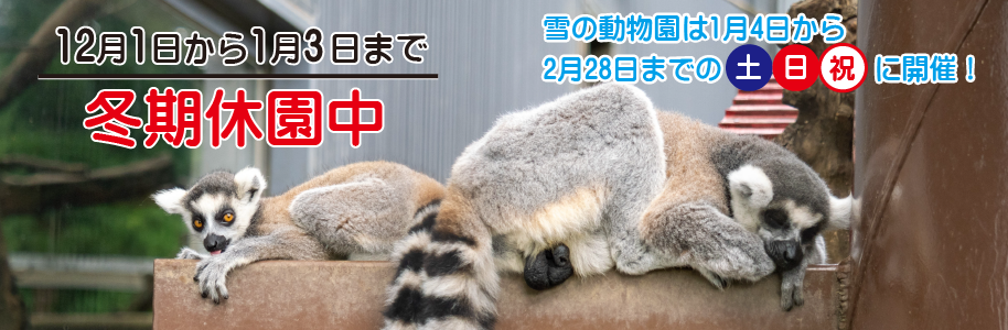 12月1日（月曜日）から1月3日（土曜日）まで冬期休園中