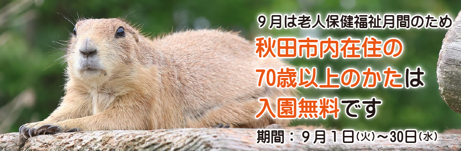 9月は老人保健福祉月間のため秋田市内在住の70歳以上のかたは入園無料です