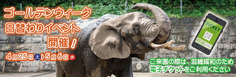 4月25日から5月6日までゴールデンウイークイベントを開催