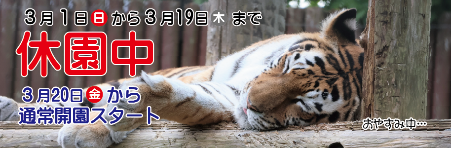 3月1日（日曜日）から3月19日（木曜日）まで休園中