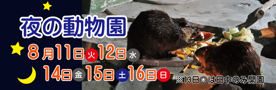 8月11日、12日、14日、15日、16日に「夜の動物園」を開催