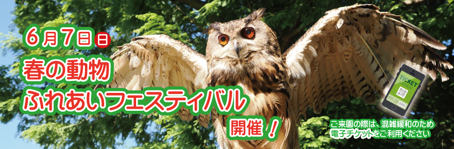 6月7日(日曜日)に「春の動物ふれあいフェスティバル」を開催します