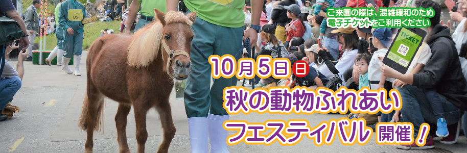 10月5日（日曜日）に秋の動物ふれあいフェスティバルを開催