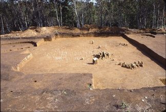 写真：石器出土状況