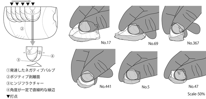 illustration：Fig.1. Characteristic from of Yonegamori type trapezoid and reconstructed way of grasping.